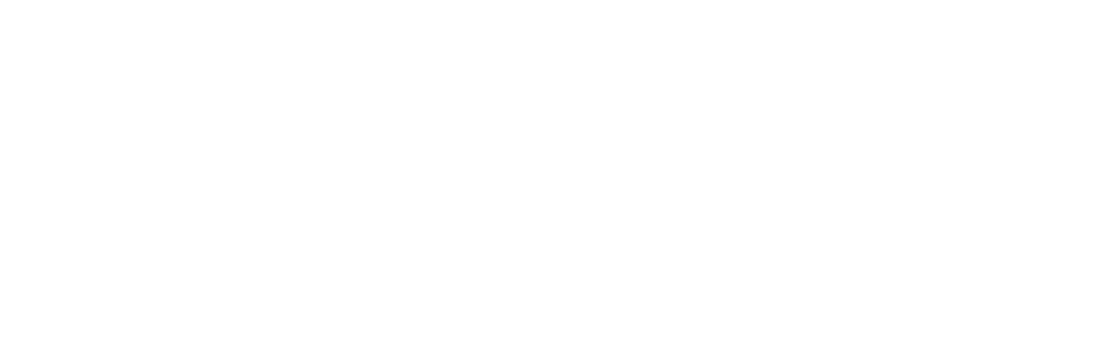 Fitia Logo